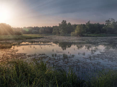 Beautiful sunset with sun rays over the Northern swamp.
