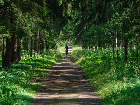 Runner on a shady forest path. Summer runs in nature.