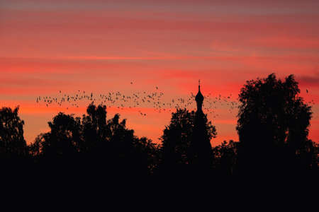 A flock of birds against the background of a Church and a red sunset. A mystical concept.の写真素材