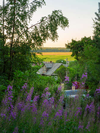 House in a village on the plain. Top view.の写真素材