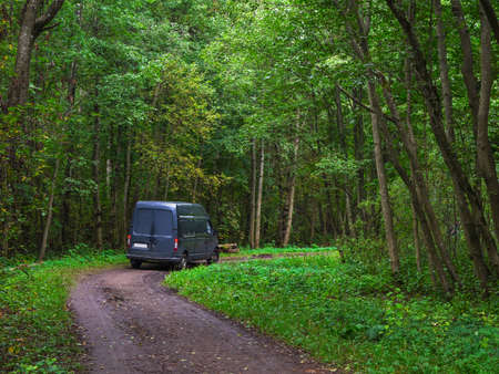 A truck turns on a green forest road.の写真素材