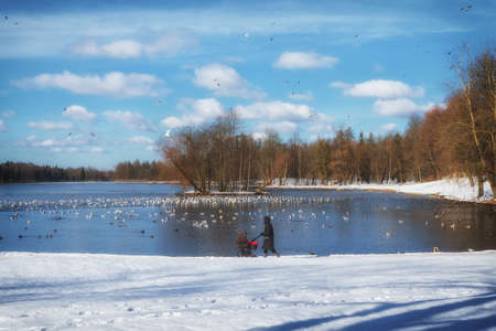 Silhouette of a mother with a baby carriage on the background of a lake in a winter Park.の写真素材