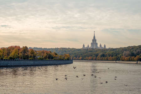 Autumn morning on the Sparrow hills. Migratory birds fly over the Moscow river.の写真素材
