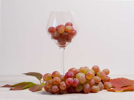 Glass filled with pink grapes and bunch of rpink grapes on the gray background