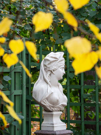 Marble statue surrounded by autumn foliage. Saint-Petersburgの写真素材