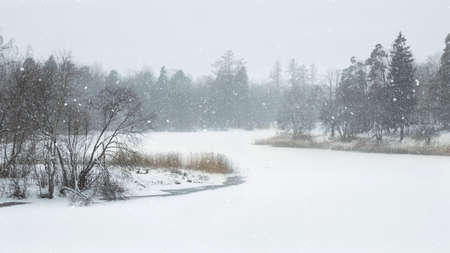 Atmospheric winter landscape. Frosty day on the lake.