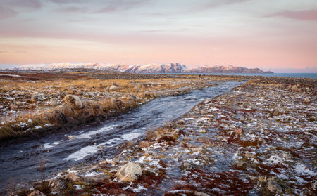 Fence with barbed wire on the background of the colorful Arctic sky.の写真素材