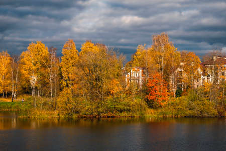 Beautiful sunny autumn coastal landscape on the lake. A rich mansion behind golden autumn treesの写真素材