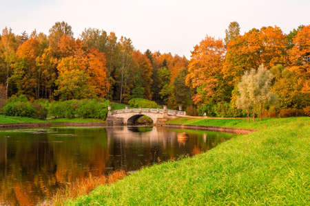 Wooden bench under an autumn tree on the shady alley of the park. Moscowの写真素材