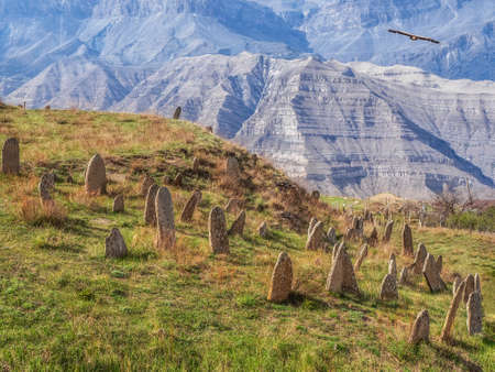 Soft focus. Atmospheric landscape with silhouettes of mountains on background of pink dawn sky. Eagle flies over a mountain gorge. Sundown in faded tones.の写真素材