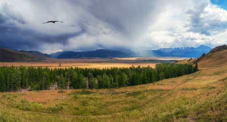Kurai steppe. Awesome panoramic alpine view from pass to mountain valley in sunlight and great...
