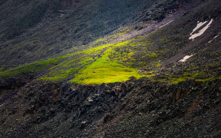 Camping in the deep forest. Orange tent in a coniferous mountain forest. Peace and relaxation in nature.の写真素材