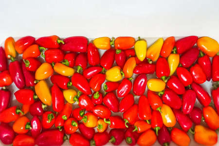 Pepper red sweet horizontal background with copy space.の写真素材