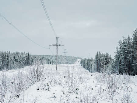 Wild winter snowy Northern forest with river on a polar day. Untouched pure nature. Karelia.の写真素材
