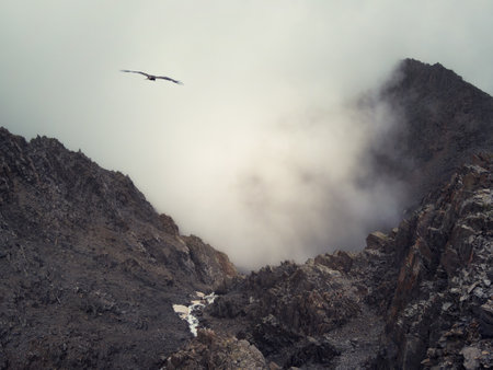 Soft focus. Horror mountain shadows. Dramatic fog among giant rocky mountains. Ghostly atmospheric view to big cliff. Low clouds and beautiful rockies. Minimalist scenery mysterious place.の写真素材