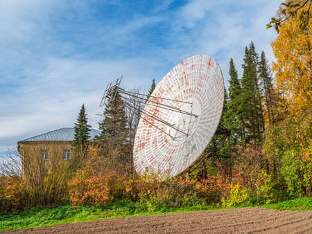 Sunny alley with birches in the autumn forest. Autumn leaf fall. A path in a sunny autumn park with falling leaves. Vertical view.の写真素材