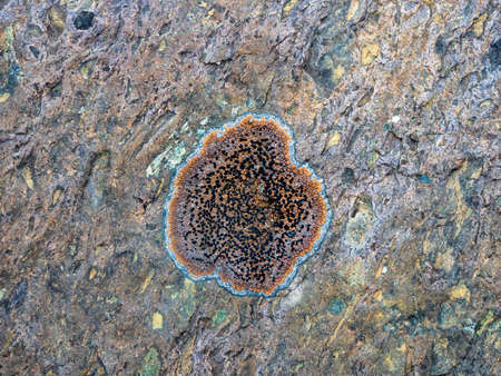 Multicolored detailed texture of a rocky mountain slope. Geological scattering of stones in close-up. Nature background of chaotic pile of stones. Minimalist texture of stony heapの写真素材