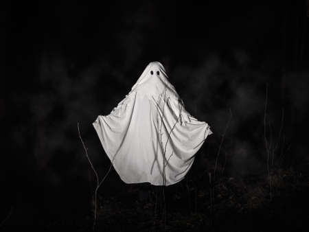 Funny white ghost in a dark misty forest. Dark fantasy concept. Of a mysterious white ghost in a spooky forest.の写真素材