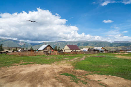 A line of trees in a field on the horizon against the background of the village. Protection of fields from erosion. The nature of the Altai Mountains. Siberia, Russia.の写真素材