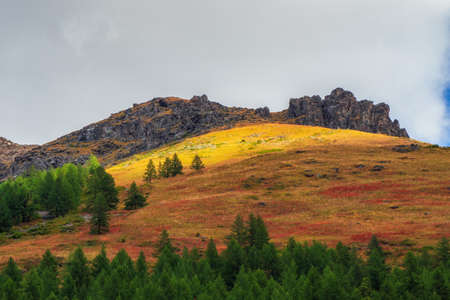 Sunny motley autumn landscape with sunlit gold mountain with green fir trees on mountainside under...