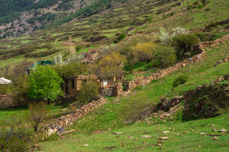 Blooming mountain garden in spring. Mountain village in spring greenery. Picturesque ethnic houses on a mountain slope. Dagestan.の写真素材