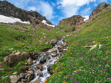 Bright spring background of a flowering tree. Blooming wild apricot tree of a ridge of rocky mountains. Vertical view.の写真素材