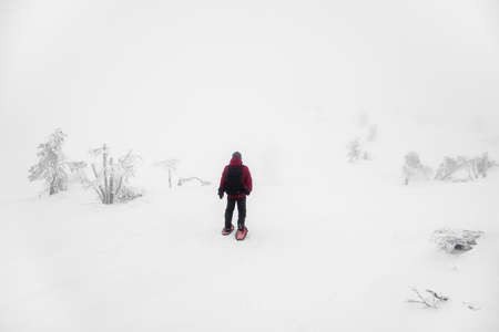 soft focus. polar expedition. A lonely traveler on snowshoes walks along a snowy slope in a foggy frosty shroud. Severe northern weather, poor visibility.の写真素材