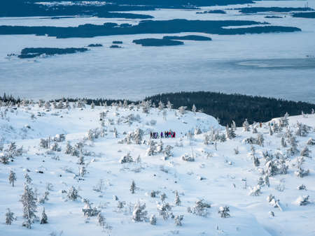 Blizzard in the winter park. Tree under snow cover. Crooked tree in the winter. Minimalistic winter landscape. copyspace.の写真素材