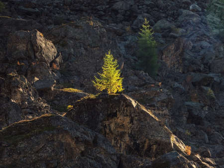 Awesome scenery with sunlit snow mountains in cloudy sky at sunrise. Dark scenic landscape with large glacier in sunrise colors.の写真素材