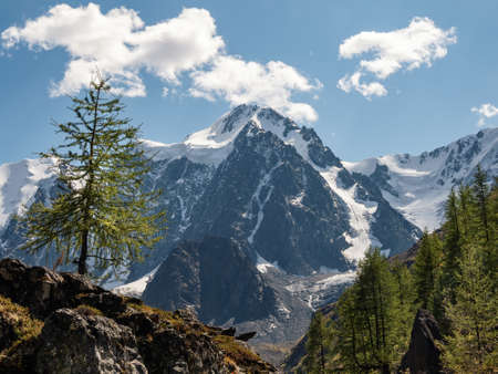 Amazing cold pink dawn over a snowy winter hill. View of the snow-covered tundra and hills. Arctic harsh nature. Mystical fairy tale of the winter frost forest.の写真素材
