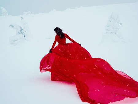 Young beautiful woman in long red dress over winter hill background and snowfall. Fairy tale girl on polar winter landscape. view from the back.の写真素材