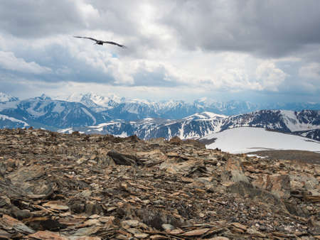 Dramatic alpine landscape with abyss and high mountain range with flying bird under cloudy sky. Colorful scenery with sharp rocks near precipice edge and large mountain ridge at changeable weather.の写真素材