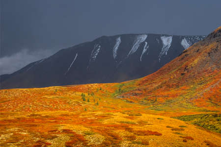Scenic autumn landscape with sunset mountain pass under blue cloudy sky in changeable weather. Colorful autumn mountain scenery with hills and red dwarf birch shrub. mountains in sunlight. square viewの写真素材