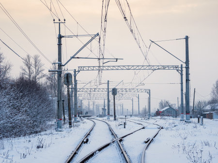 selective focus. Funny Pika Ochotona collaris sits on rocky in Altai mountain.の写真素材