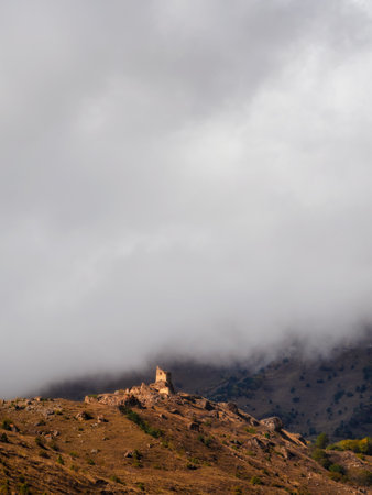 soft focus. Winter blue-pink minimalistic northern background with trees plastered with snow against a dark dramatic sky. Arctic harsh nature. Mystical fairy tale of the winter misty forest.の写真素材