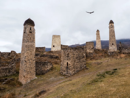 Battle towers Erzi in the Jeyrah gorge. Medieval tower complex Erzi, one of the largest medieval castle-type tower villages, located on the extremity of the mountain range in Ingushetia, Russia.の写真素材
