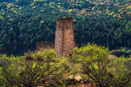 Sunny afternoon in the Caucasus mountains. Medieval tower on green mountain forest background. Ingushetia region.の写真素材