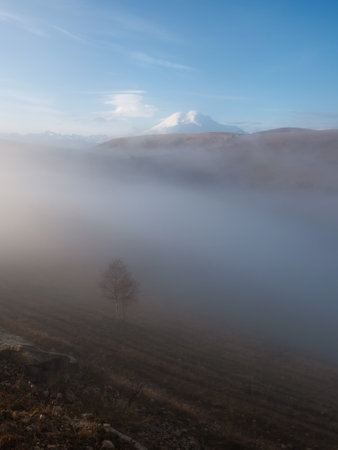 Soft focus background. Lonely autumn tree against foggy Elbrus mountain slope in sunrise. Misty...