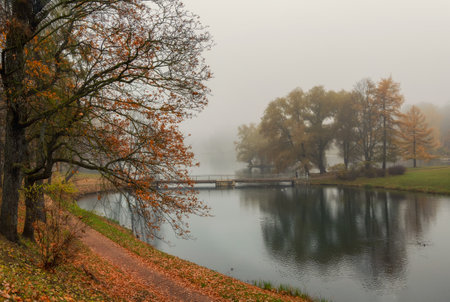 Soft focus. Foggy melancholic autumn city park. Bridge over a pond dueing a foggy morning. Gatchina, Palace Park, Russia.の写真素材