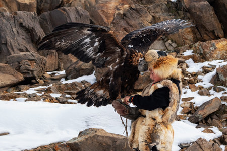 Ulgiy, Mongolia - September, 30, 2023: Northern Mongolia. Portrait of a boy with a hunting golden eagle. Eagle hunters are individuals who train and hunt with golden eagles in Mongolia.のeditorial素材