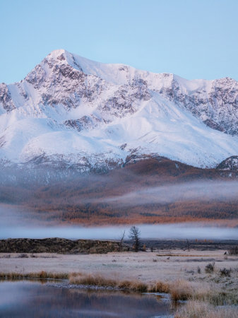 Vertical alpine atmospheric landscape with swampy terrain in thick fog against the background of snow-capped high peaks. Lonely autumn red tree under the mountain. Frost covers the marsh grass.の写真素材