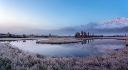 Blue hour in the mountains. Autumn frost on dry grass. Snowy peaks are reflected in the calm cold water of a mountain lake. North Chuysky Range and Lake Dzhangyskol at dawn. Russia, Altai Republic.の写真素材