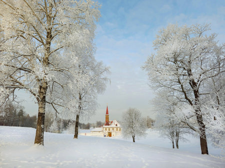 Sunny winter morning frosty dawn. White snowy landscape with old Maltese palace in beautiful natural landscape. Gatchina. Russia.の写真素材