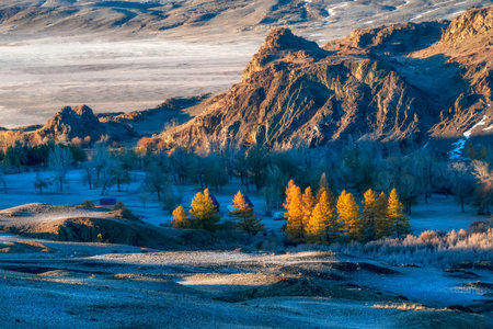 Evening light in rock. Sunny autumn mountain forest. larch pines in their autumnal colors. A valley filled with colorful golden aspen trees.の写真素材