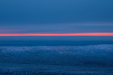 Bright narrow scarlet streak of dawn over the endless winter forest. The blue hour. Amazing natural background.の写真素材