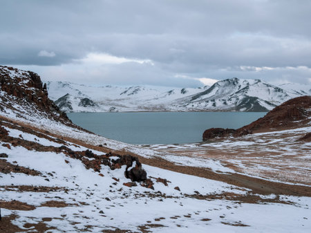 Mongolian natural landscape with beautiful mountain and crystal clear cold water of Lake Tolbo in winter at Ugii in Western Mongolia. Harsh climate background in Mongolia.の写真素材