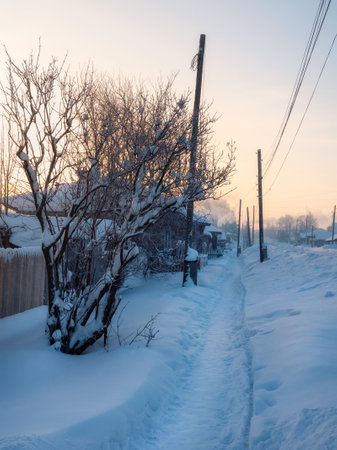 Frozen winter village, a trail through snowdrifts and a lot of snow. Impressive winter rustic view. Siberia, Russia. Vertical view.の写真素材