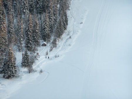 Winter forest. Treetops in the snow, aerial view. Small wooden house on the edge of a frozen lake, paths through the snow. Small figures of people in the snow.の写真素材