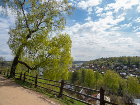 Spring green tree over a ravine. Sunny view of Ples city, historical settlement, from Cathedral Mountain in spring, Ples, Ivanovo region, Russia.の写真素材