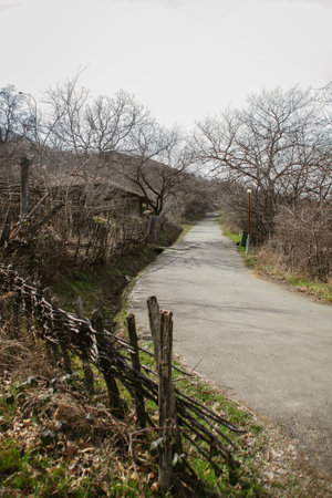 Autumn dry trees, leaves at a narrow trail through a village in Georgia. Woven wooden fence....